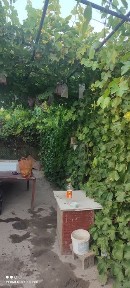 Дача сатылады, екі бөлмелі, 6 соттық жері бар.