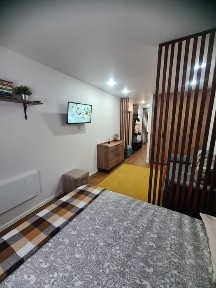 1 ком квартиры В центре Vip