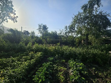 Продажа 2 домов г. Текели