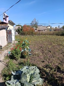 Продам или поменяю на квартиру дом. Цена договорная.