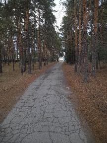Продам дом из бруса