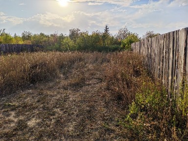 Костанайская область, Мичуринское