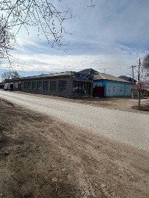 Кызылординская область, Алмалы
