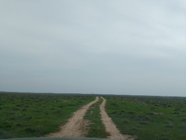 Туркестанская область, Дармино