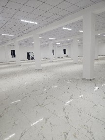 Кызылординская область, Шиели