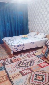 ПО Космической 12 чистая квартира (полуторка) со всеми удобствами