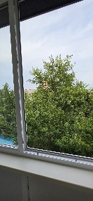 Трёшка в Парковой Зоне свежая косметика