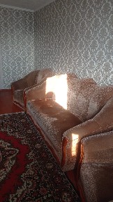 Сдам 1 к. квартиру