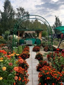 Продам дачу с/о Чайка