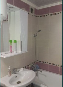 1 комн квартира в центре Толе би