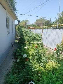Продам частный дом