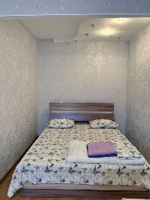 Квартира посуточно/по часам. Нии травматологии, абылай хана.