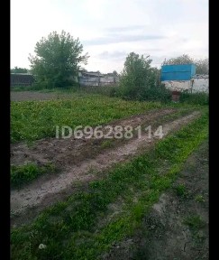 Восточно-Казахстанская область, Семей