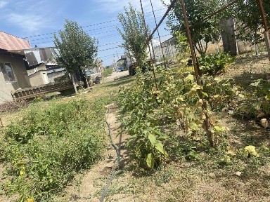 Продаеться дом в Кендале Талгарский район ПКСТ Тегістік с плодовыми