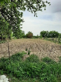 Продам дом, большой участок, посёлок Шымыр
