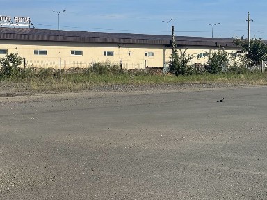 Сдам в аренду площадку