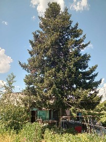 Продается дача летнего варианта в с/т 
