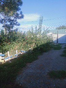 Актюбинская область, Нура
