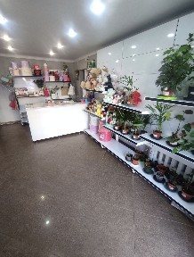 Северо-Казахстанская область, Петропавловск