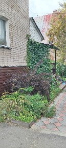 Северо-Казахстанская область, Петропавловск