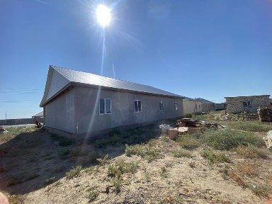 Уй сатылады. 15,5. 16,5
