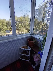 Сатылады. 2 бөлмелі квартира. 45 кв м.