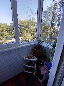 Западно-Казахстанская область, Уральск, 2-й рабочий