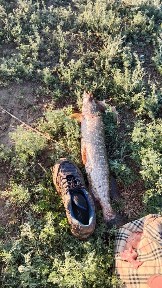 Участок под бизнес, и участок ижс