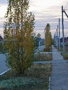 Новый капитальный дом в элитном месте