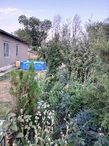 Дом с 30 соток. Шамалган село