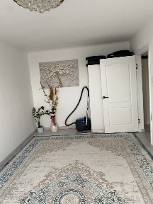 квартира арендаааа кульспры
