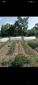 Продажа дома в рассрочку