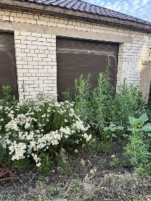 Продам недвижимость ижс