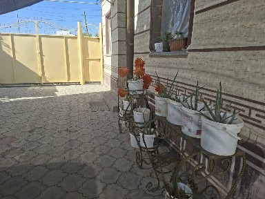 Туркестанская область, Кайтпас