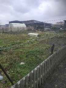 Продам пол дома. В хорошем состоянии.