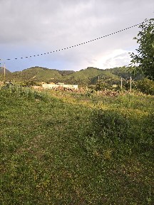 Сдам в аренду 40 соток Талгар, возле заповедника