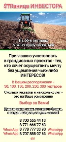 # Аренда. Инвестор