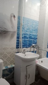 Актюбинская область, Актобе, Акация