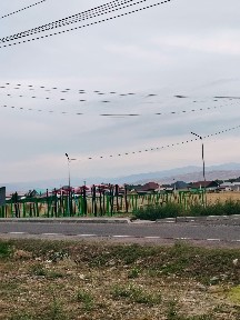 Продается дом участок 10 соток