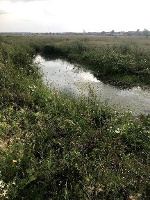 Уютный Дом (в курортном городе на два хозяина) в городе Щучинск, 240 к