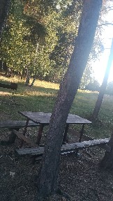 Срочно! 13 соток в сосновом лесу, центр Катарколь, Бурабай