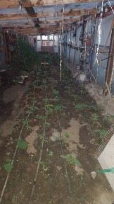 Продам дом в кабанбай батыра
