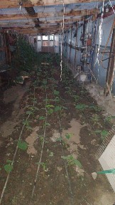 Продам дом в кабанбай батыра