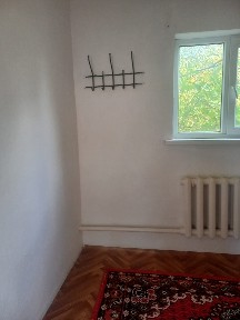 Актюбинская область, Актобе, Акация