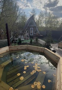 Баня, домик, чан в аренду