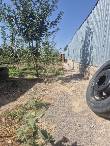Времянка 3 комнатная в с. Кошмамбет