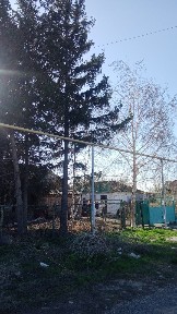 Сдается дом в аренду