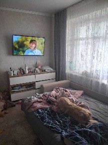 1-комнатная квартира, 23 м², Заводская