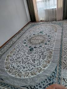 Аренда квартира левый берег