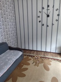Продам дом борачного типа полностью огороженый отдельный вход